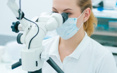 Microscope Root Canal